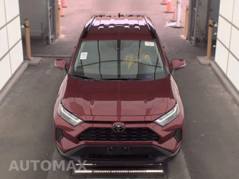 2025 Toyota RAV4 XLE – miniatura 2