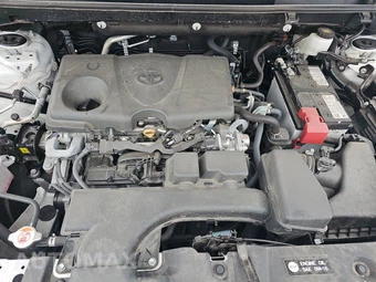 2025 Toyota RAV4 XLE – miniatura 22