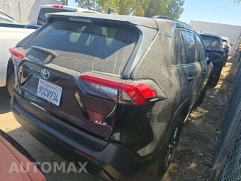 2025 Toyota RAV4 XLE - miniatura 3