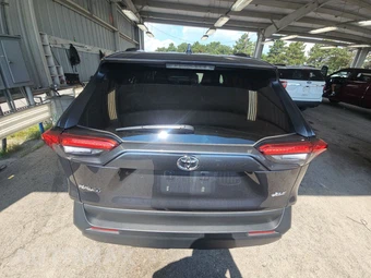 2025 Toyota RAV4 XLE – miniatura 5