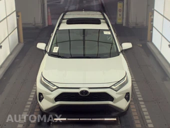 2025 Toyota RAV4 XLE Premium – miniatura 2