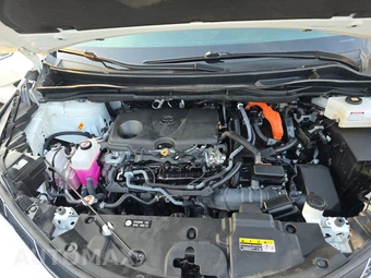 2025 Toyota Sienna XLE 7-Passenger 120.5" WB - miniatura 16