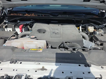 2025 Toyota Tundra SR Crew Cab Short Bed - miniatura 22