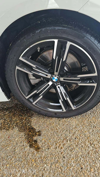 2026 BMW 2 Series Coupe 230i xDrive M SPORT LINE - miniatura 20