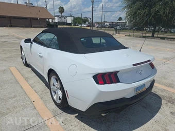 2026 Ford Mustang EcoBoost Premium Convertible - miniatura 6