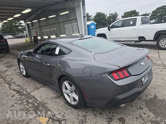 2026 Ford Mustang EcoBoost Premium Coupe - miniatura 6