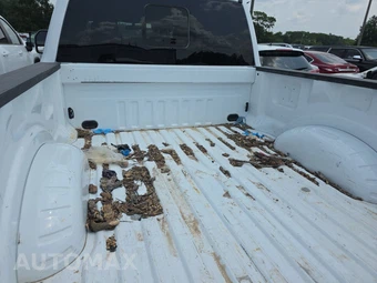 2026 Ford Super Duty F-250 XL Crew Cab Medium Bed - miniatura 16