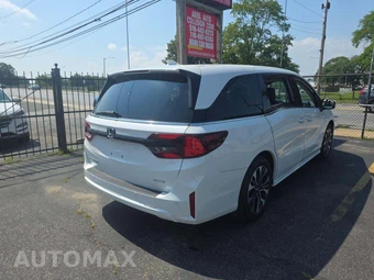 2026 Honda Odyssey Elite 118.1" WB - miniatura 3