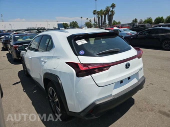2026 Lexus UX 300h - miniatura 6