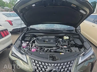 2026 Lexus UX 300h – miniatura 19